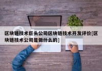 区块链技术巨头公司区块链技术开发评价[区块链技术公司是做什么的]